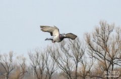 做個手機網站多少錢